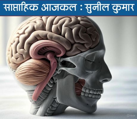 दिमाग से लेकर बाकी बदन तक,  इस्तेमाल न हों, तो कई बीमारियां