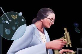  जानए कौन हैं कमल रणदिवे जिनके लिए गूगल ने बनाया है डूडल