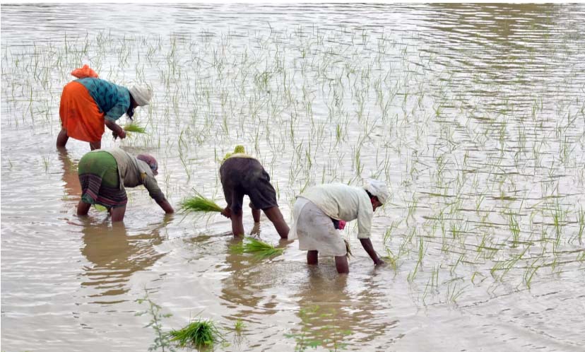 आज किसान-मंथन ज्यादा जरुरी