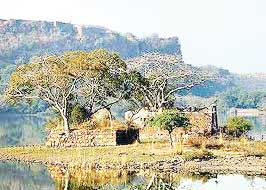 सवाई माधोपुर