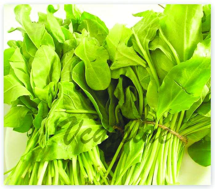 ईरान से पूरी दुनिया में पहुंचा पालक