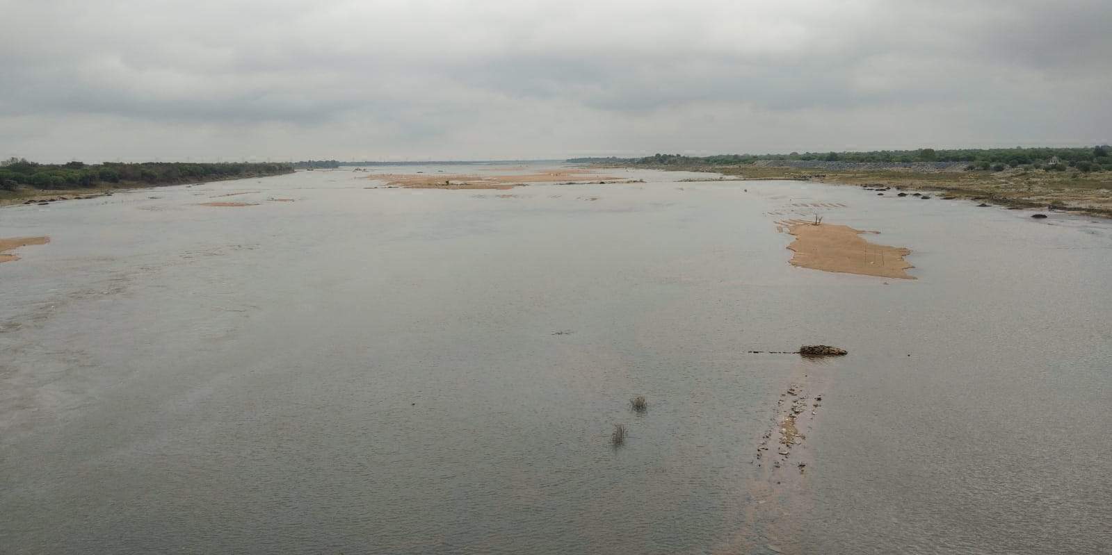 महानदी के तरबूजों का विदेश जाना मुश्किल, बारिश से 10 हजार एकड़ फसल बर्बाद