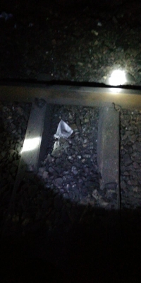 नक्सलियों के 'बिहार-झारखंड बंद' के आह्वान की वजह से दिल्ली पहुँचने वाली लगभग एक दर्जन ट्रेनें प्रभावित