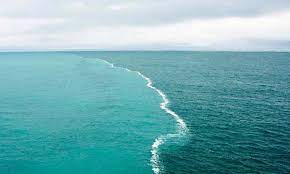   हर दिन हॉट सीट 5 फरवरी