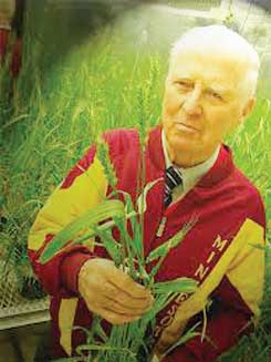 भारत में हरित क्रांति