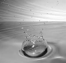 हर दिन हॉट सीट 19  फरवरी