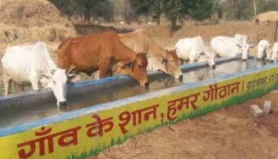 छत्तीसगढ़ का दानदाता किसान, 31 करोड़ का चारा किया दान