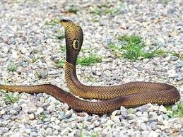 हर दिन हॉट सीट  2 मार्च