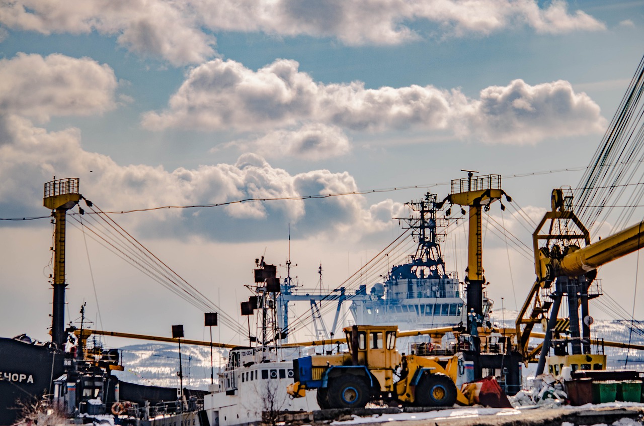 गेहूं, तेल, गैस... वो चार चीजें जो रूस और यूक्रेन दुनिया को सप्लाई करते हैं