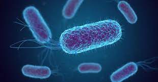   हर दिन हॉट सीट 16 मार्च