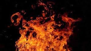 महाराष्ट्र : ठाणे के हरित अपशिष्ट केंद्र में आग लगी