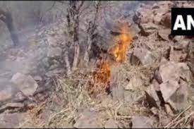 राजस्थान: सरिस्का टाइगर रिज़र्व में लगी भीषण आग, वायुसेना ने शुरू किया अभियान