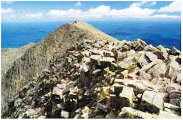 कैटादिन