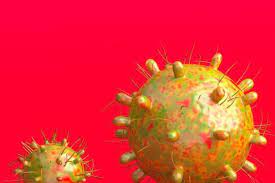 दिल्ली में जनवरी से मार्च तक कोविड के चलते जान गंवाने वालों के नमूनों में 97 प्रतिशत में ओमीक्रोन स्वरूप पाये गये