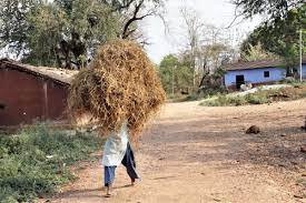 एसबेस्टस खनन के बंद होने के 39 साल बाद भी क्यों हो रहें हैं झारखंड के आदिवासी बीमार