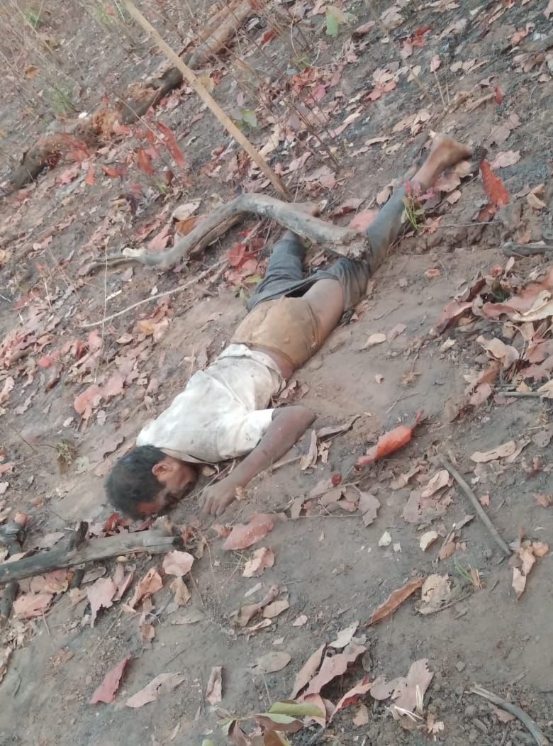  वृक्षों की कटाई छंटाई करने जा रहे श्रमिक को दंतैल ने कुचलकर मारा