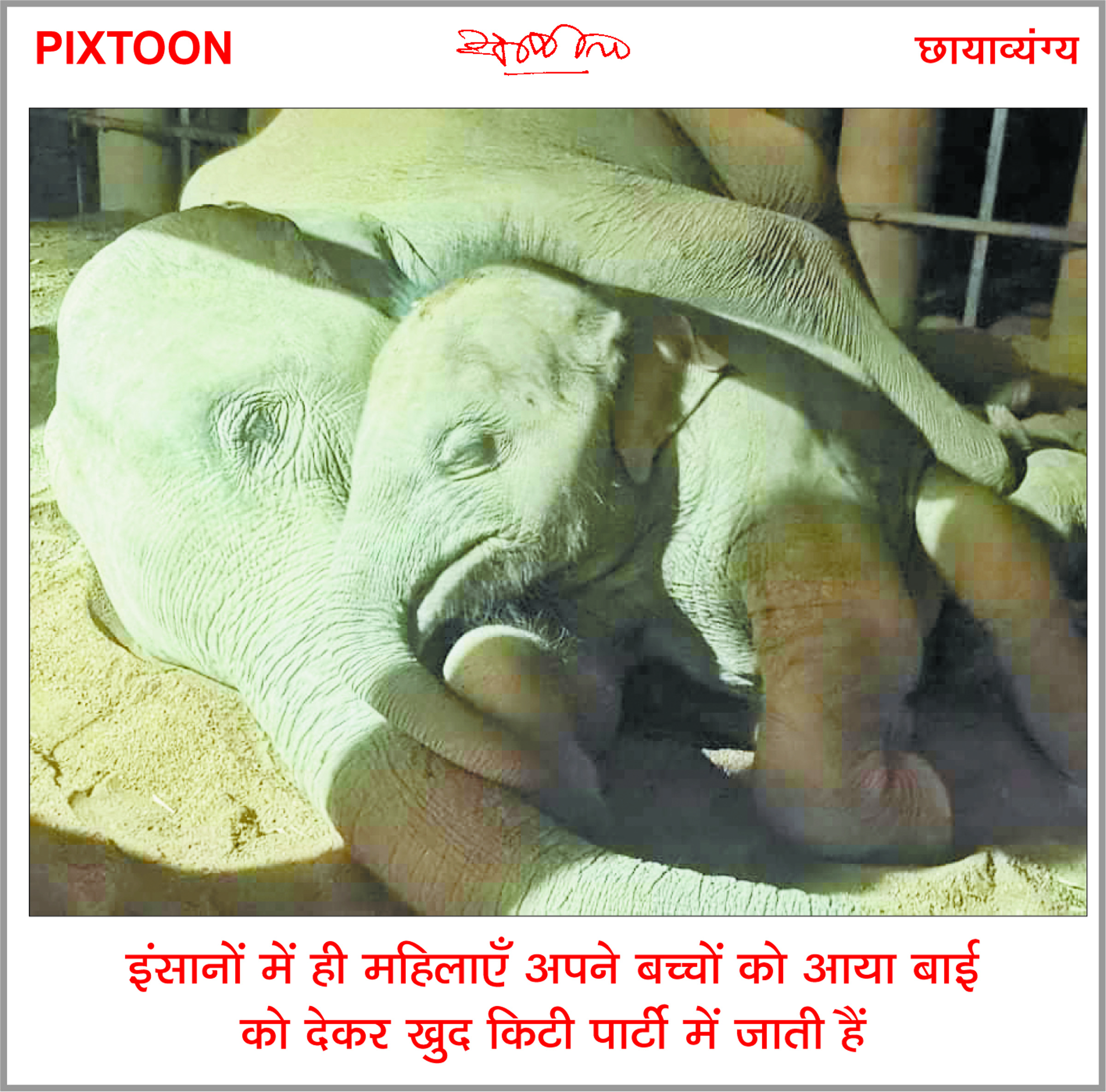 दैनिक 'छत्तीसगढ़' का पिक्सटून, 27 अप्रैल 