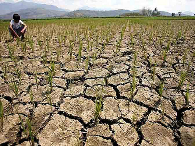  सरगुजा की सिंचाई योजनाओं में भ्रष्टाचार, करोड़ों फूंके, खेतों तक नहीं पहुंचा पानी