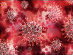 प्रदेश में आज रात तक 9 पॉजिटिव, सर्वाधिक बिलासपुर जिले में, 22 जिलों में शून्य