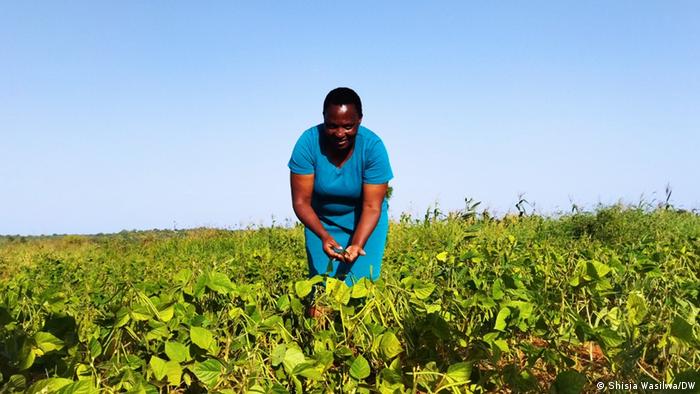 पानी के मीटर लगे तो बदल गया किसानों का रवैया और जिंदगी