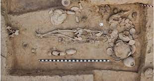 हड़प्पा युगीन राखीगढ़ी में मिले दो मानव कंकालों के डीएनए नमूने जांच के लिए भेजे