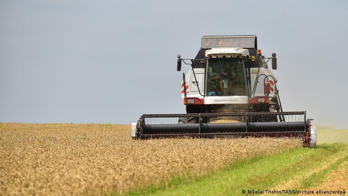 क्या दुनिया में खाना अब कभी सस्ता नहीं होगा?