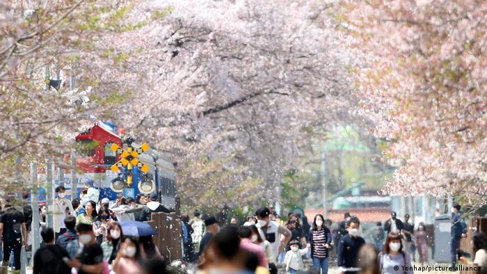 दक्षिण कोरिया में बढ़ रही है अंडाणु फ्रीज कराने वालीं युवतियां