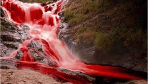 हर दिन हॉट सीट 22 मई