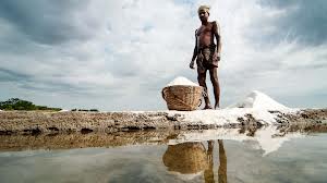 भारत में नमक  उद्योग