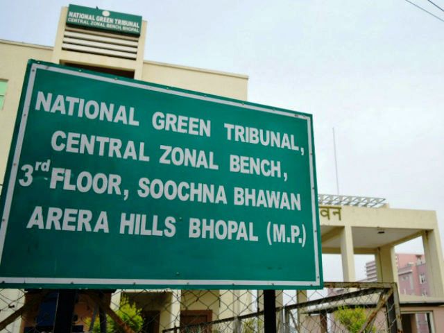 हसदेव अरण्य में वन विभाग की मंजूरी को एनजीटी में चुनौती, राज्य सरकार को जवाब दाखिल करने का निर्देश