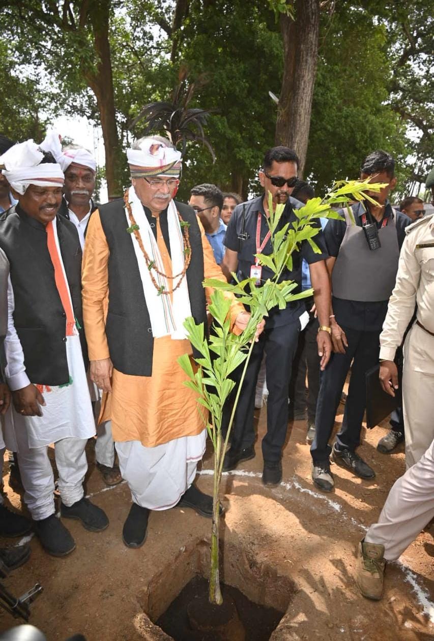 सीएम ने बड़ेकिलेपाल में देवगुड़ी परिसर में सल्फी का पौधा लगाया