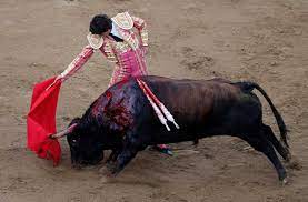 मेक्सिको में सांडों की लड़ाई पर रोक