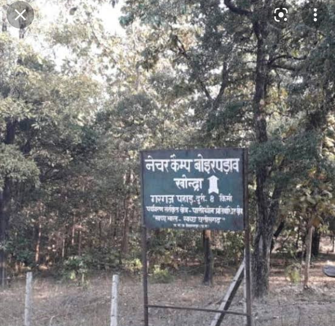 चीतल के लिए बिछाया करंट, शिकारी भी आया चपेट में