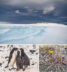 अंटार्कटिका-आर्कटिक में रिकॉर्ड तोड़ गर्मी के क्या हैं मायने?