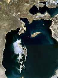 अरल सागर