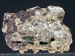 सेलेनियम