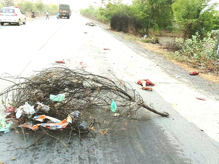 सुबह की सैर पर निकले वृद्ध को एक के बाद एक तीन हाईवा कुचलते हुए निकली, सड़क पर चिपक गए शव के टुकड़े