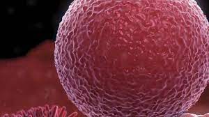 तमिलनाडु : पुलिस ने अंडाणु दान मामले में दो फर्टिलिटी अस्पतालों को समन भेजा