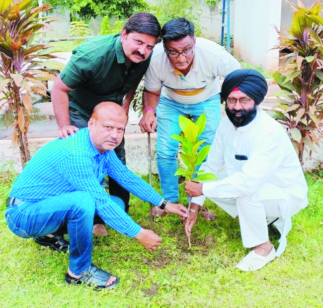 एडवरटाइजिंग एजेंसी एसो. ऑफ छत्तीसगढ़ ने किया पर्यावरण दिवस पर सघन पौधरोपण