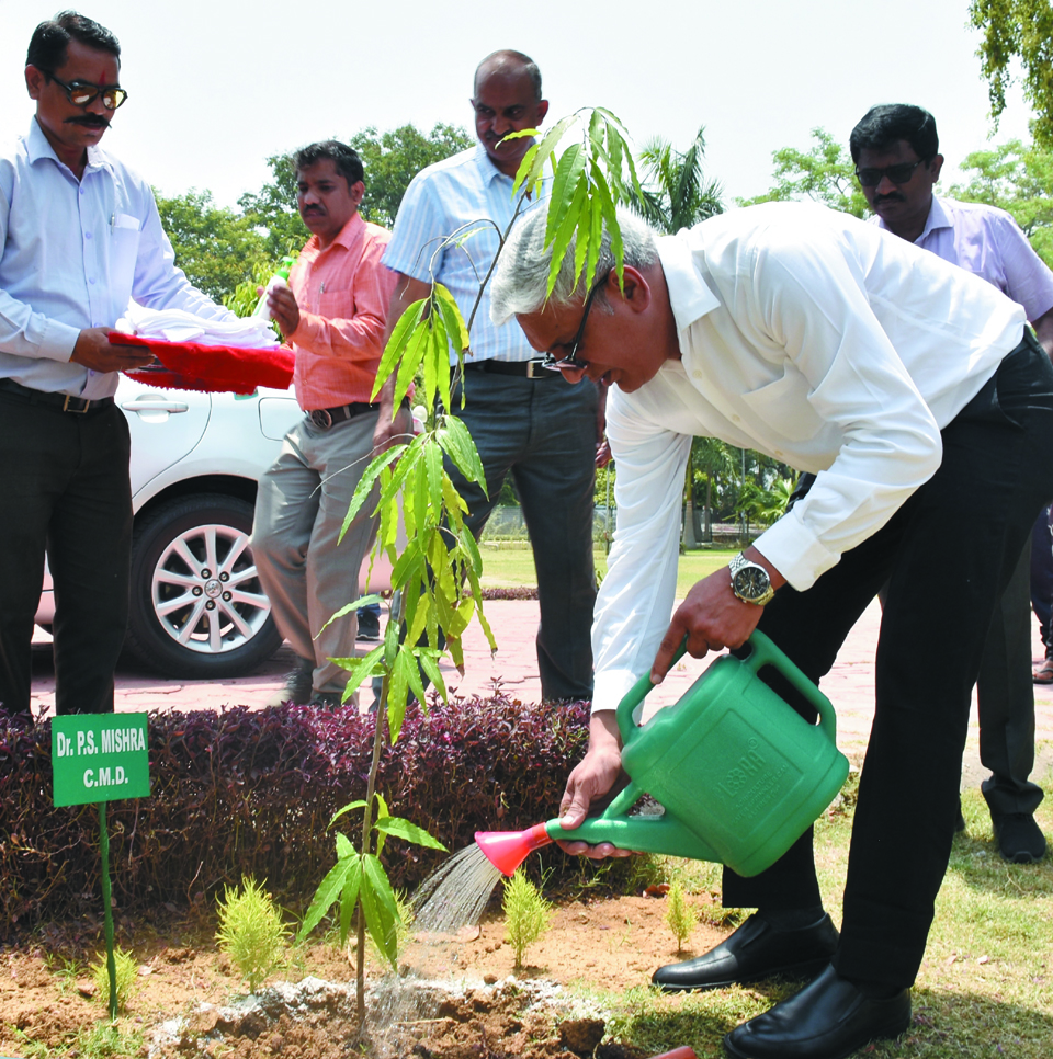 एसईसीएल ने विश्व पर्यावरण दिवस सोल्लासपूर्ण मनाया