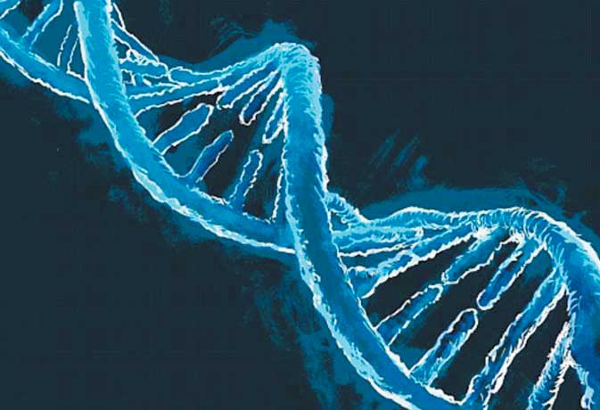 मौत के बाद कुछ जीन जिंदा रहते हैं