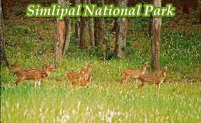 सिमलिपाल राष्ट्रीय उद्यान