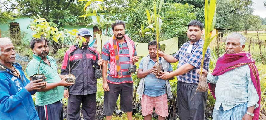 एनएमडीसी बचेली ने स्थानीय किसानों की आय वृद्धि हेतु उपलब्ध करवाए 10000 फलदार पौधे