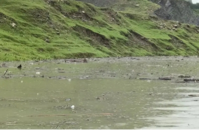 टिहरी झील में जहां-तहां फैला है कूड़ा-कचरा, एक दर्जन से अधिक पशुओं के शव भी टिहरी झील में जहां-तहां फैला है कूड़ा-कचरा, एक दर्जन से अधिक पशुओं के शव भी
