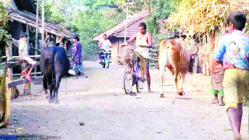 आजादी के 75 साल : गरीबी तो कम हुई है लेकिन सबसे बड़ी चिंता भी बढ़ी