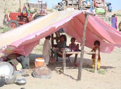 बाढ़ के बीच पाकिस्तान में आफत बना डेंगू, तेजी से बढ़ रहे मामले