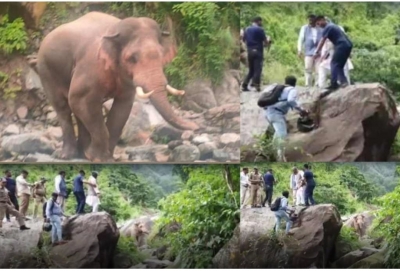 पूर्व सीएम त्रिवेंद्र की गाड़ी के आगे आया हाथी, वाहन छोड़ चट्टान पर चढ़कर बचाई जान