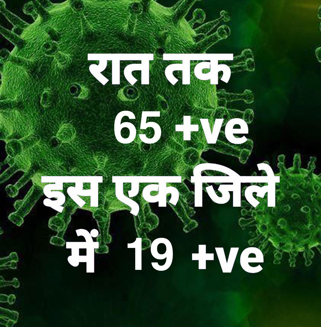 प्रदेश में आज रात तक 65 पॉजिटिव, सर्वाधिक रायपुर जिले में, 10 जिलों में शून्य प्रदेश में आज रात तक 65 पॉजिटिव, सर्वाधिक रायपुर जिले में, 10 जिलों में शून्य