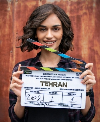 'तेहरान' के लिए 15 रातें नहीं सोई मानुषी छिल्लर