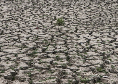 84 फीसदी भारतीयों का कहना है कि ग्लोबल वार्मिंग हो रही है 84 फीसदी भारतीयों का कहना है कि ग्लोबल वार्मिंग हो रही है